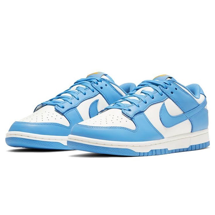Nike Dunk Low Blue